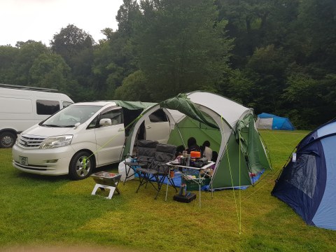 Camping with the alphard