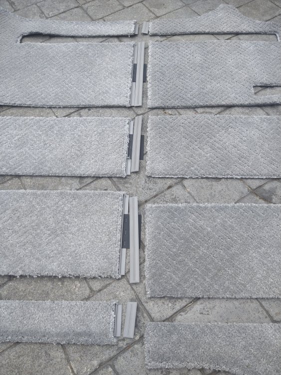 carpet2.jpg