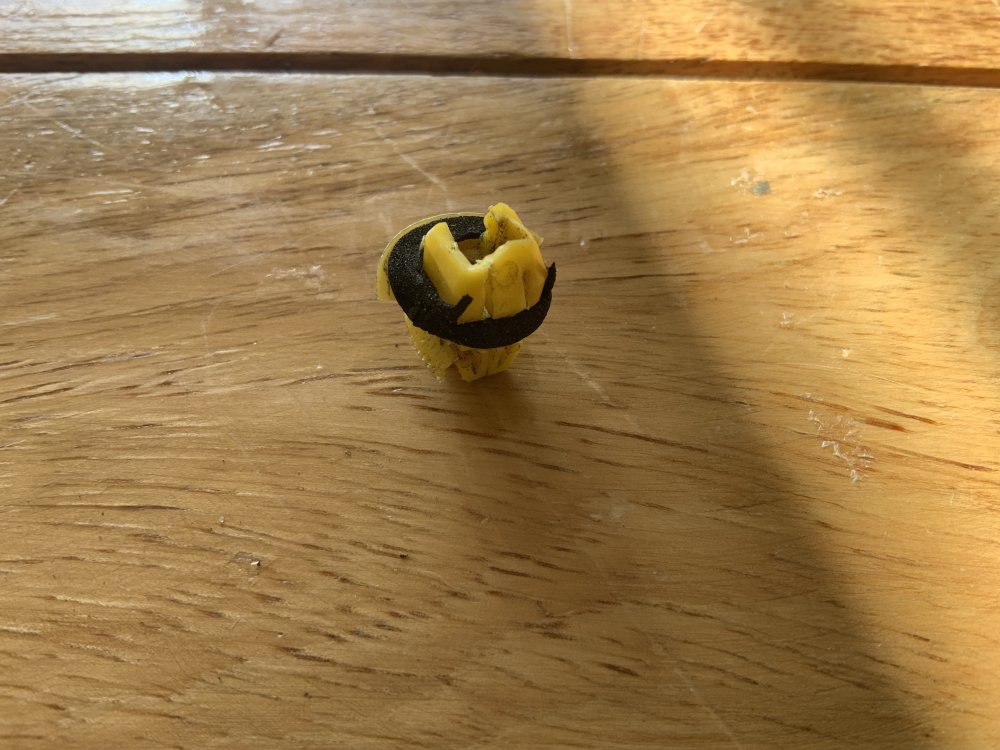 IMG_0272.jpeg