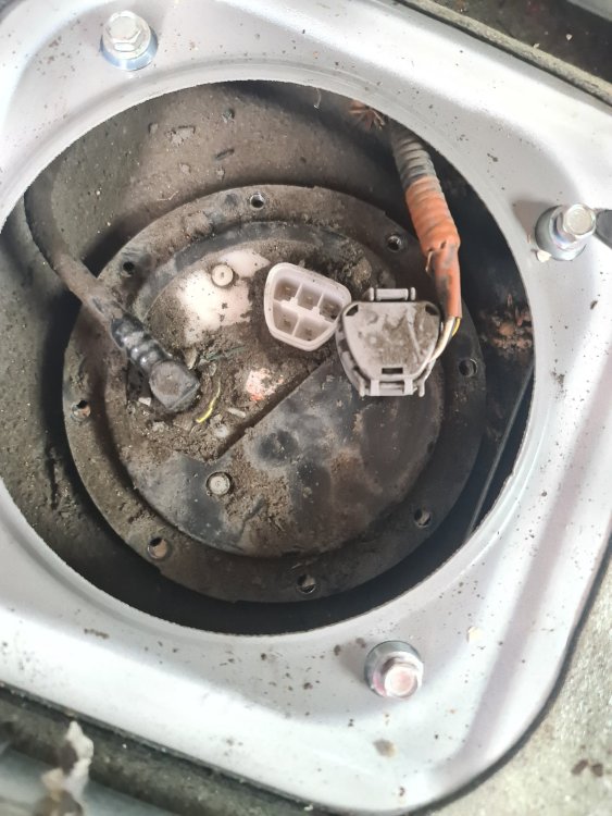 4-Remove electrical connection.jpg