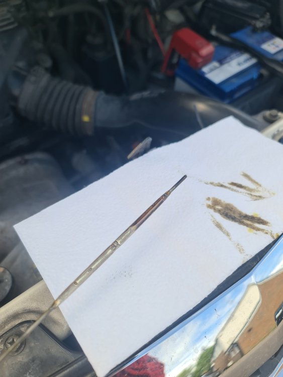Oil-dip-cold.thumb.jpg.18ef090bc32f69739f480d4e4ebc4724.jpg
