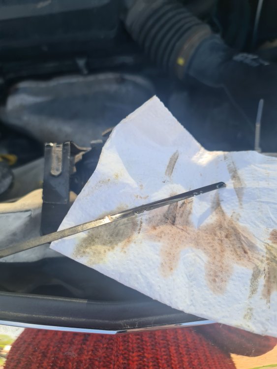 Transmission-dip-cold.thumb.jpg.3423d05957a27c1024c4c6959f9cf747.jpg