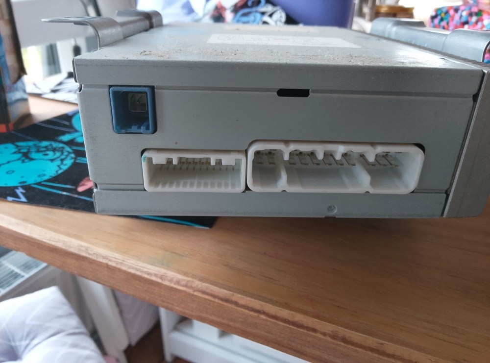 amp rear.jpg
